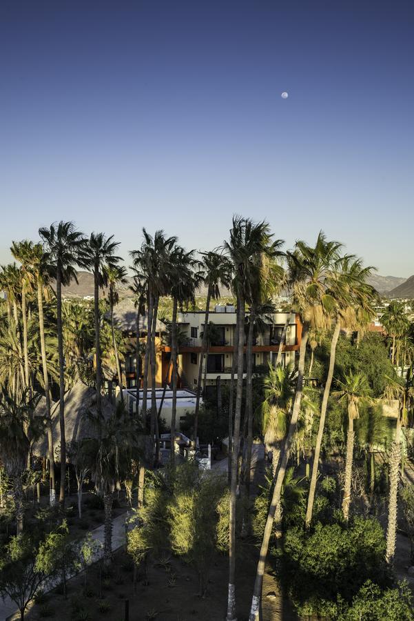 Marea La Paz Hotel Bagian luar foto